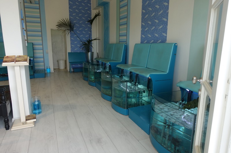 Fish Spa 1 Top Facts