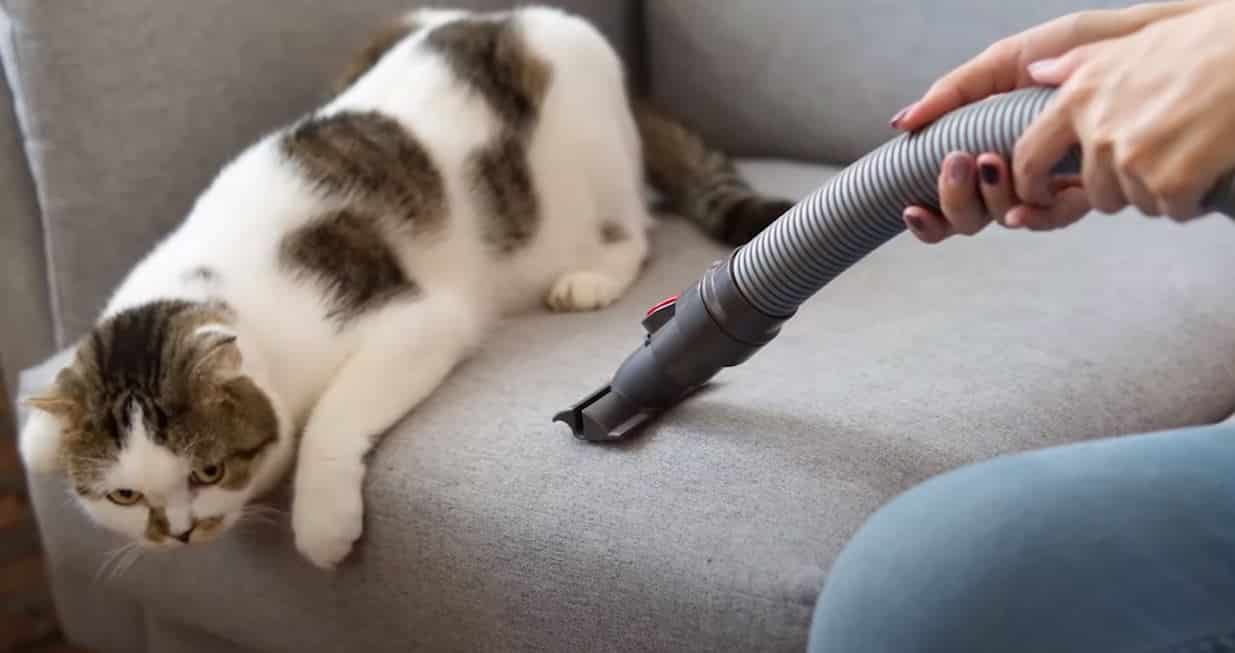 Vacuum For Cleaning Business Buying Guide Top 10 Best Reviews