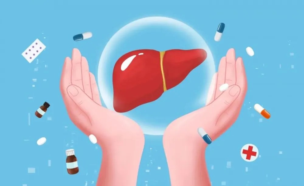 Liver Detox Top Acupuncture