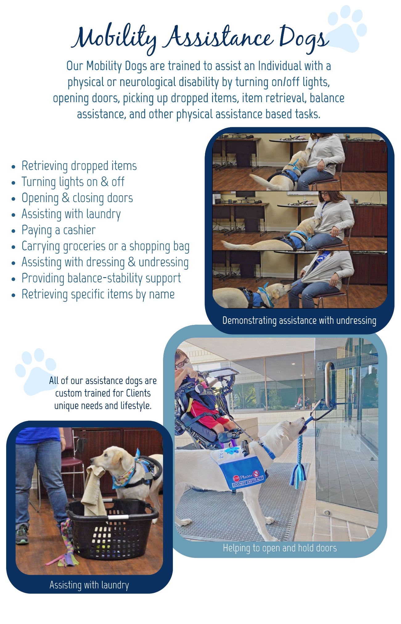 Mobility Assistance Dogs Topaz Assistance Dogs INC