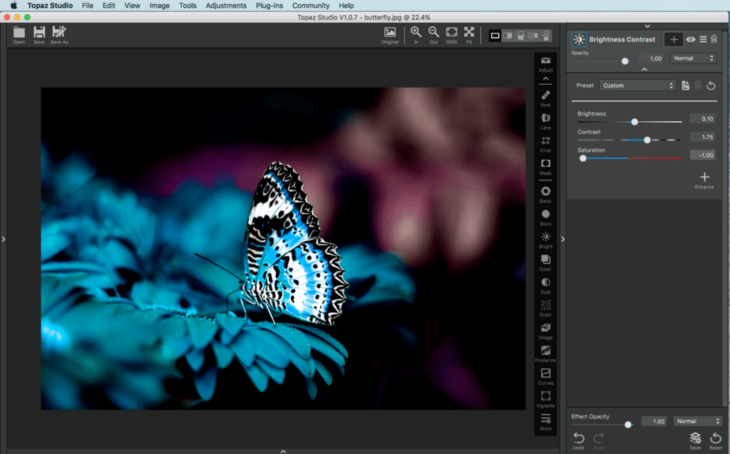 How to Use the Brightness Contrast Adjustment Topaz Labs