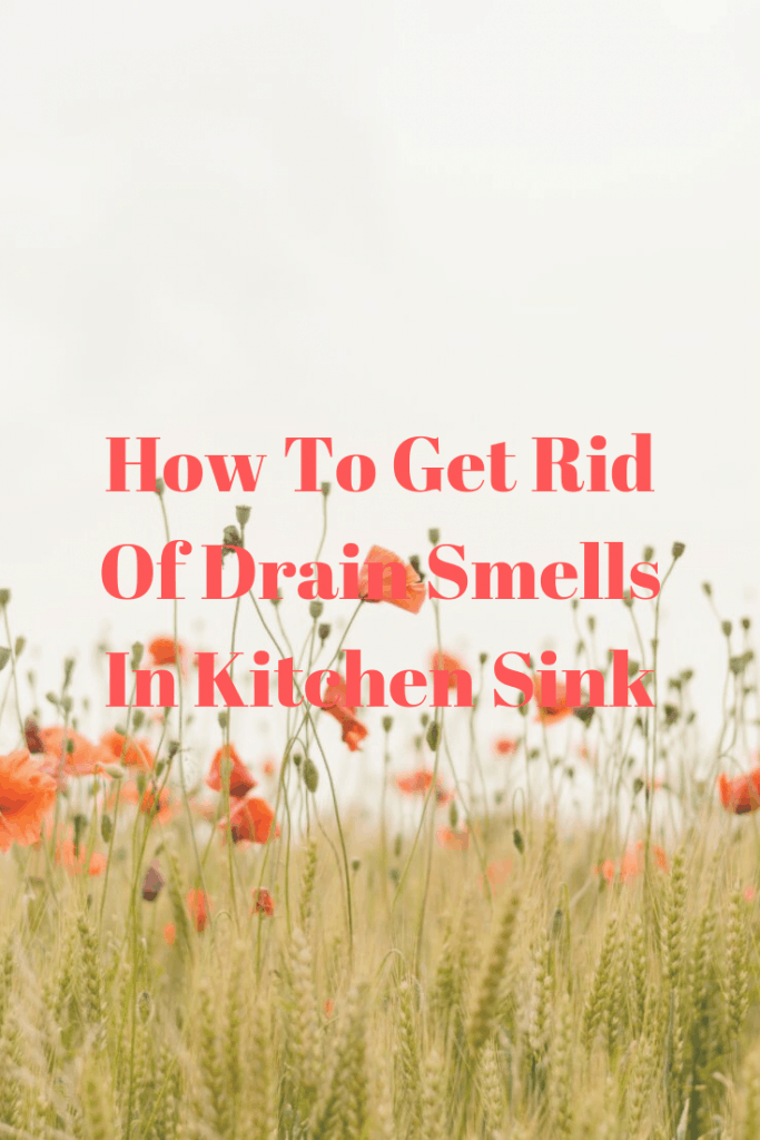 How To Get Rid Of Drain Smells In Kitchen Sink Top Best Kitchen