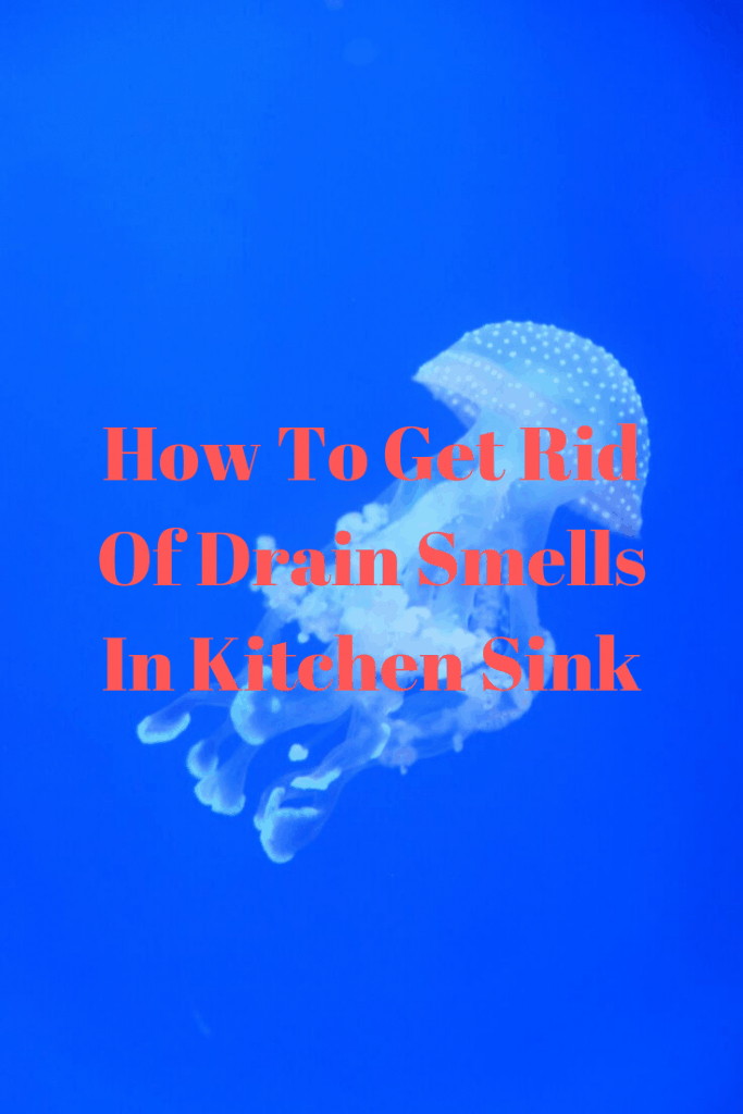 How To Get Rid Of Drain Smells In Kitchen Sink Top Best Kitchen