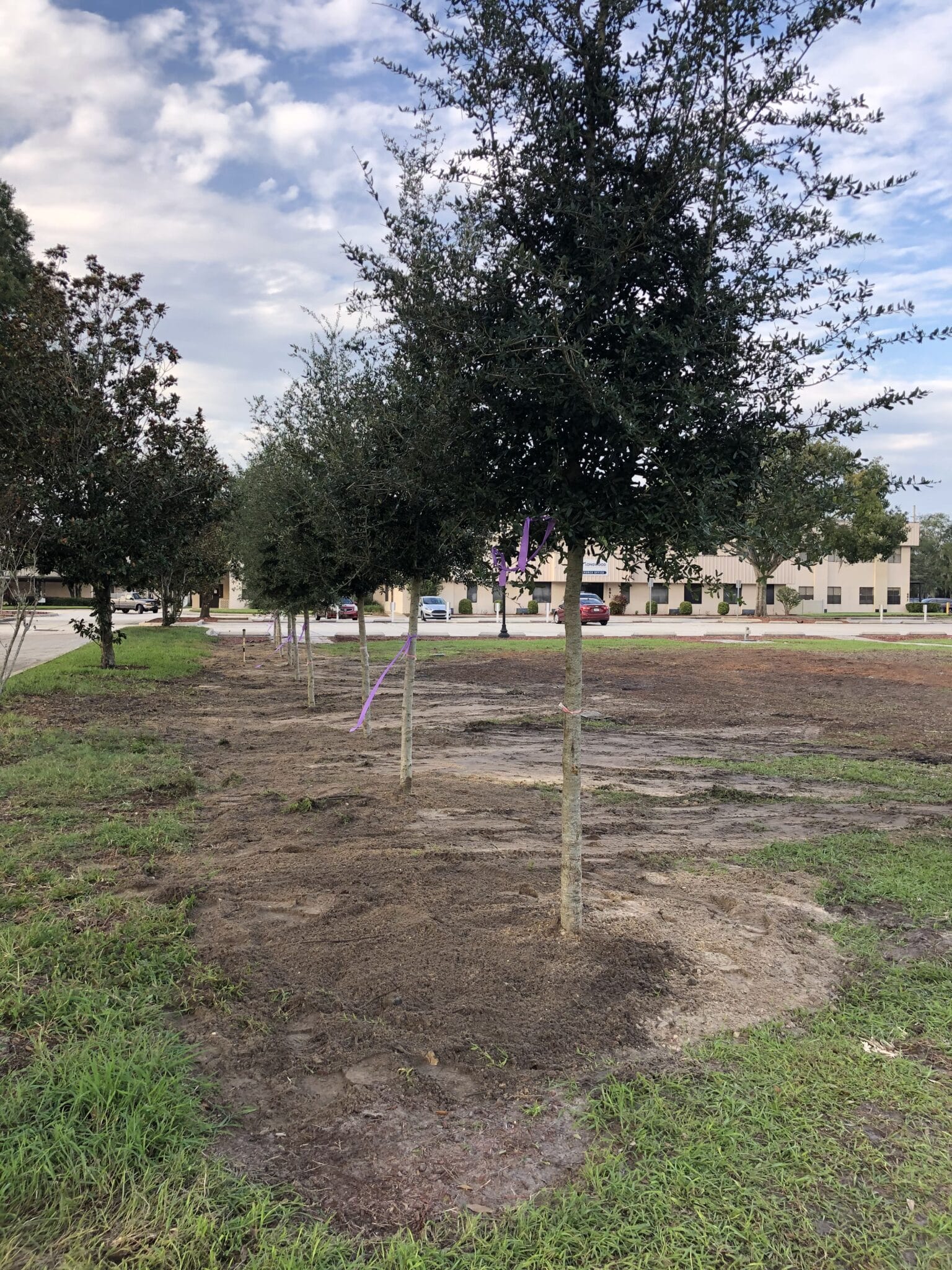 HOA Lawn Care Top Care Ground Control