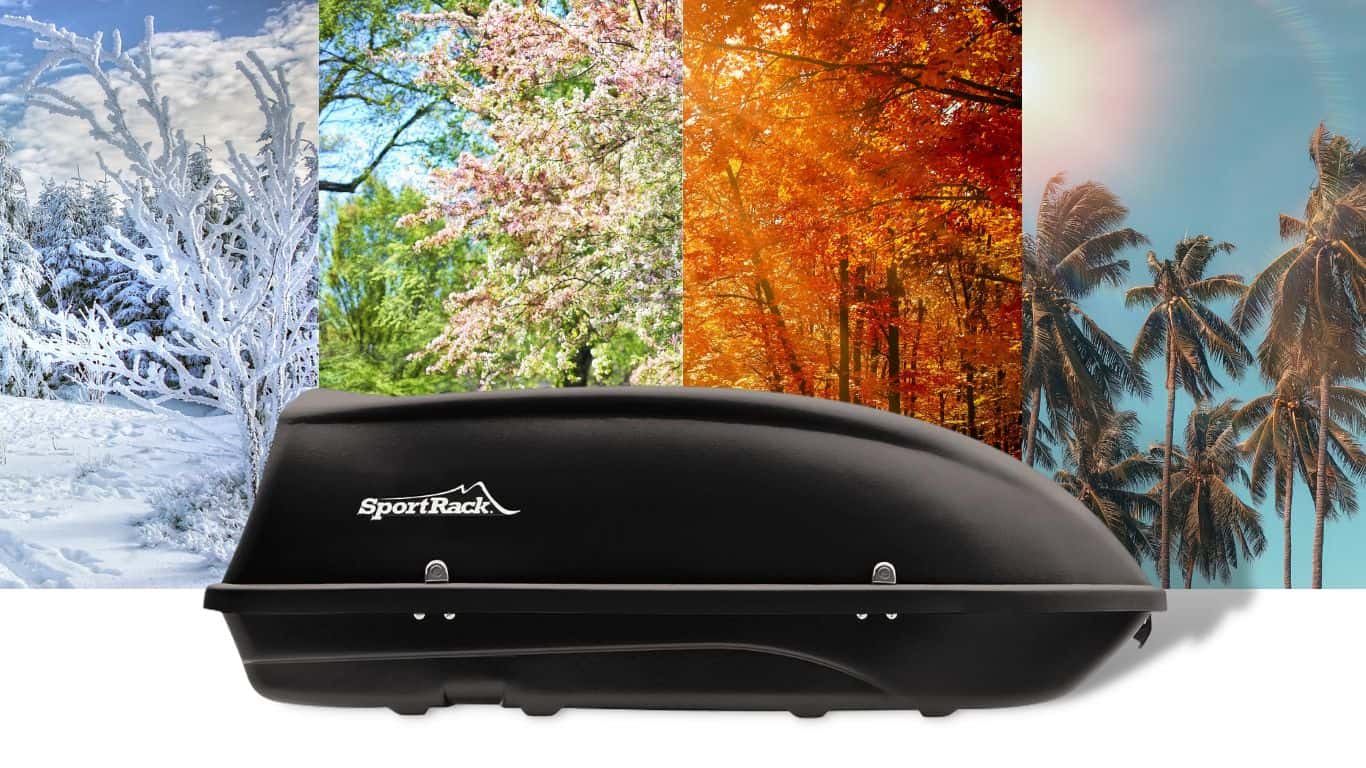 14 Best Cargo Boxes And Their Differences