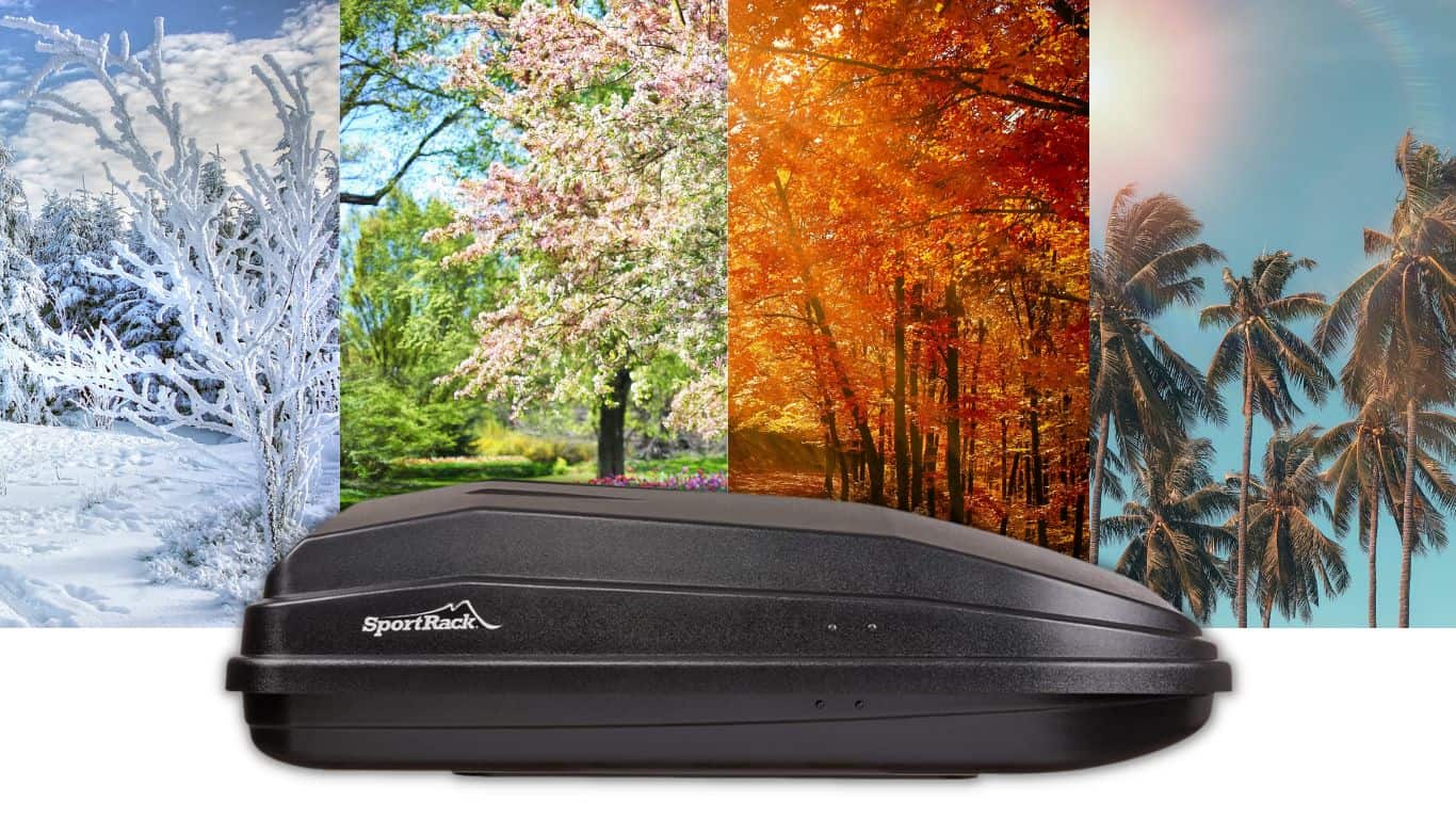 14 Best Cargo Boxes And Their Differences