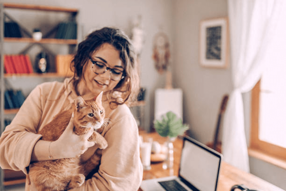 Is Plumeria Poisonous to Cats? Top Cat Breeds