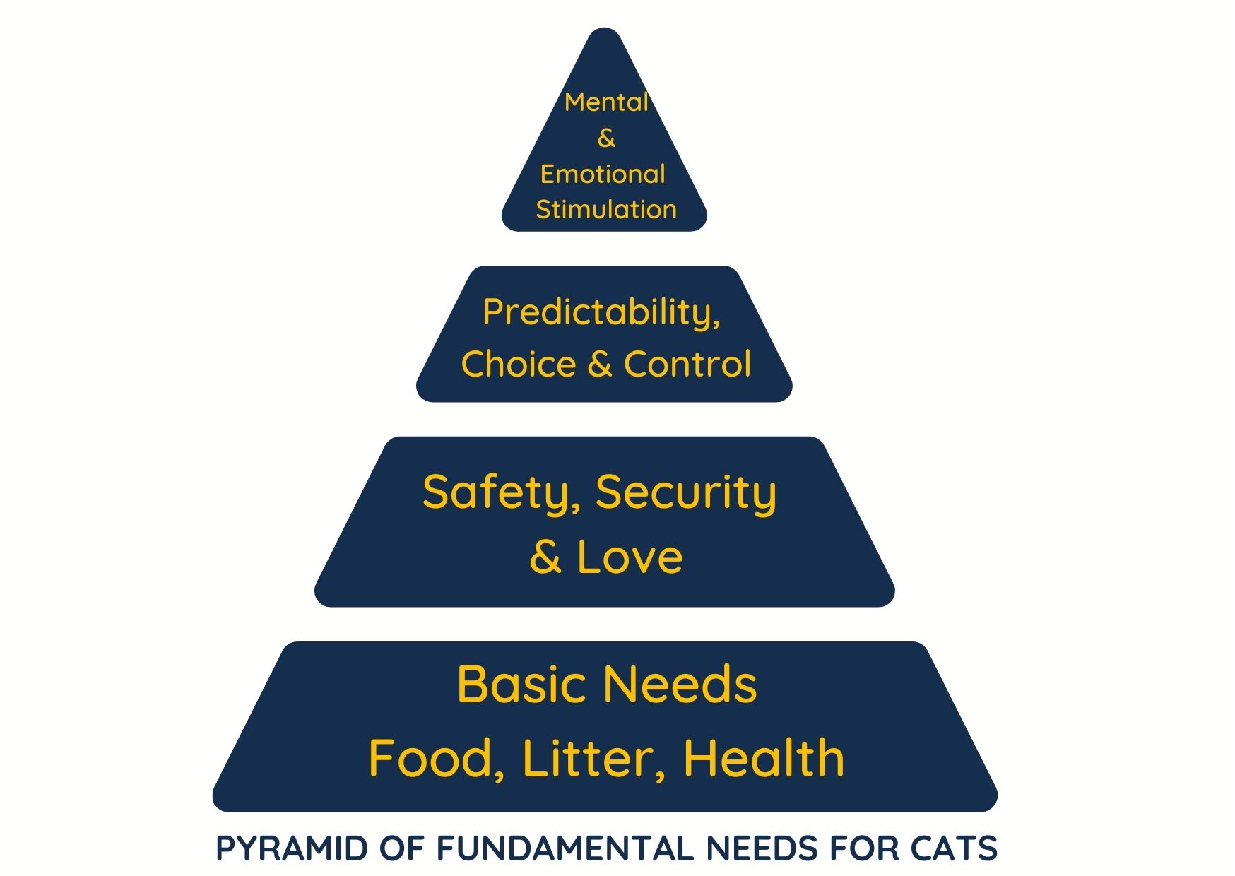 Complete Guide for CatSafe Home Top Cat Guide