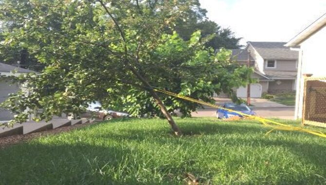 9 Easy Ways To Fix A Leaning Tree