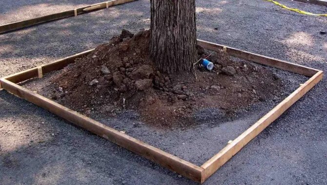 Pouring A New Base For Tree