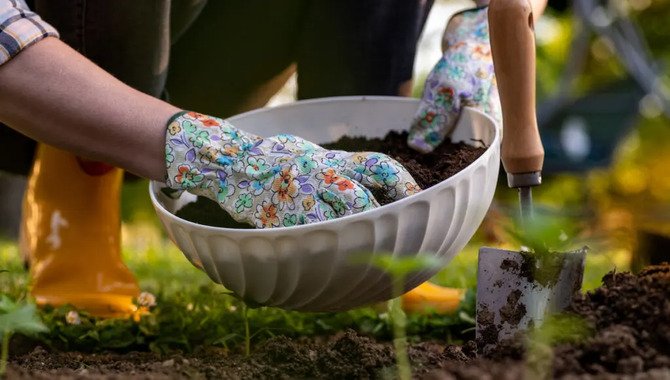 Correcting Any Deficiencies In The Soil