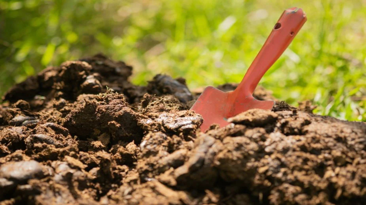 Advanced Composting Techniques And Tips