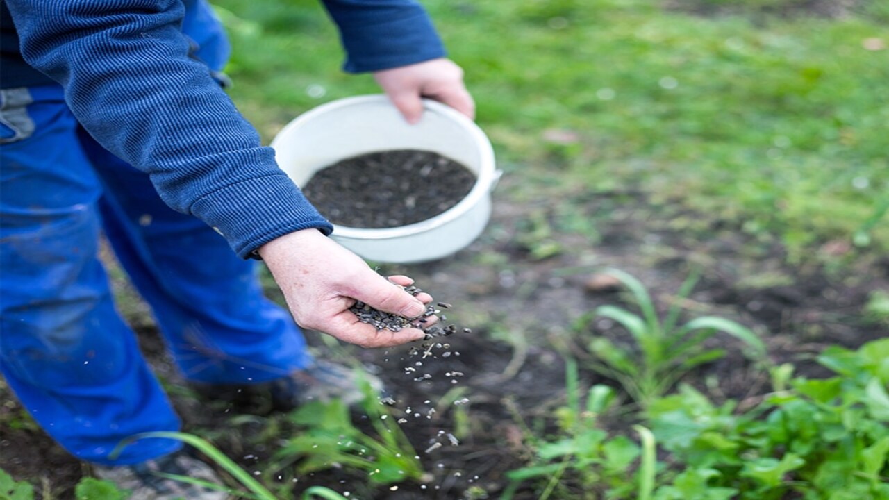 Advantages Of Using A Slow-Release Fertilizer
