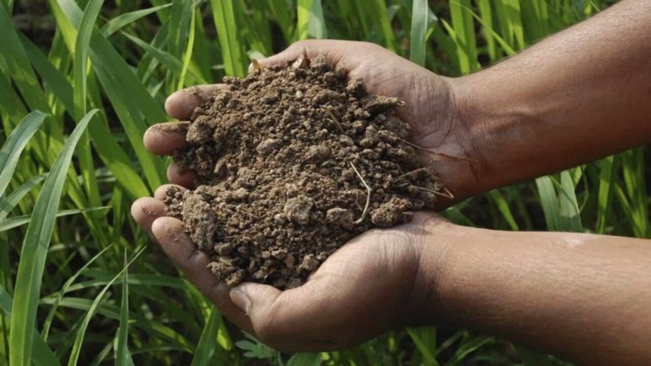 Compost For Erosion Control And Land Restoration
