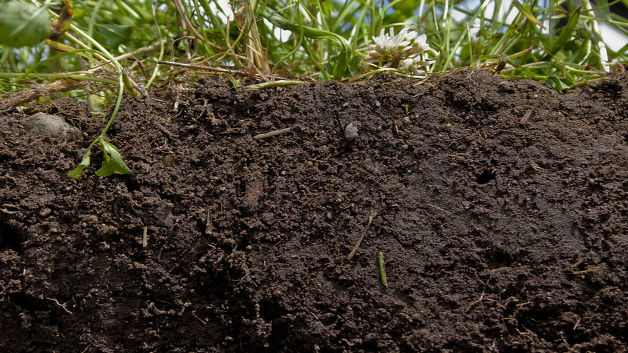 Composting And Soil Health