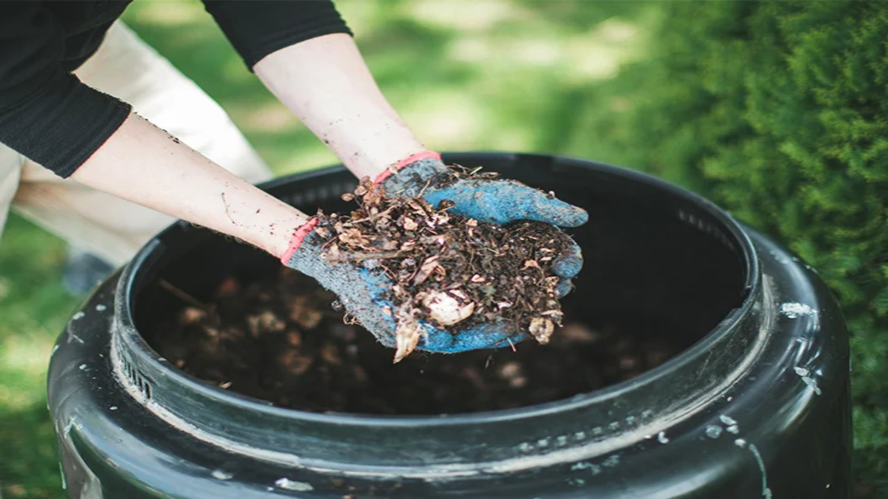 Composting Define A Guide To Defining The Concept