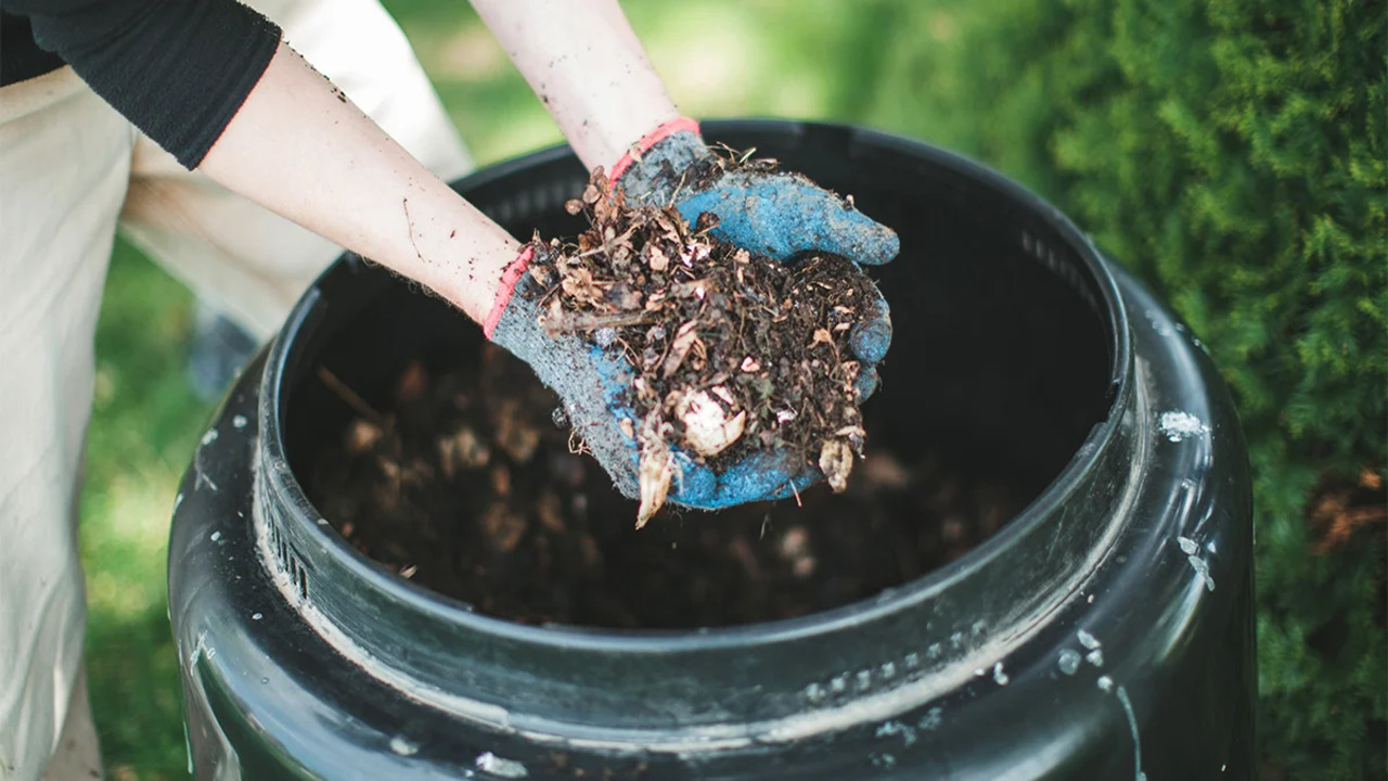 Composting To Create Nutrient-Rich Soil