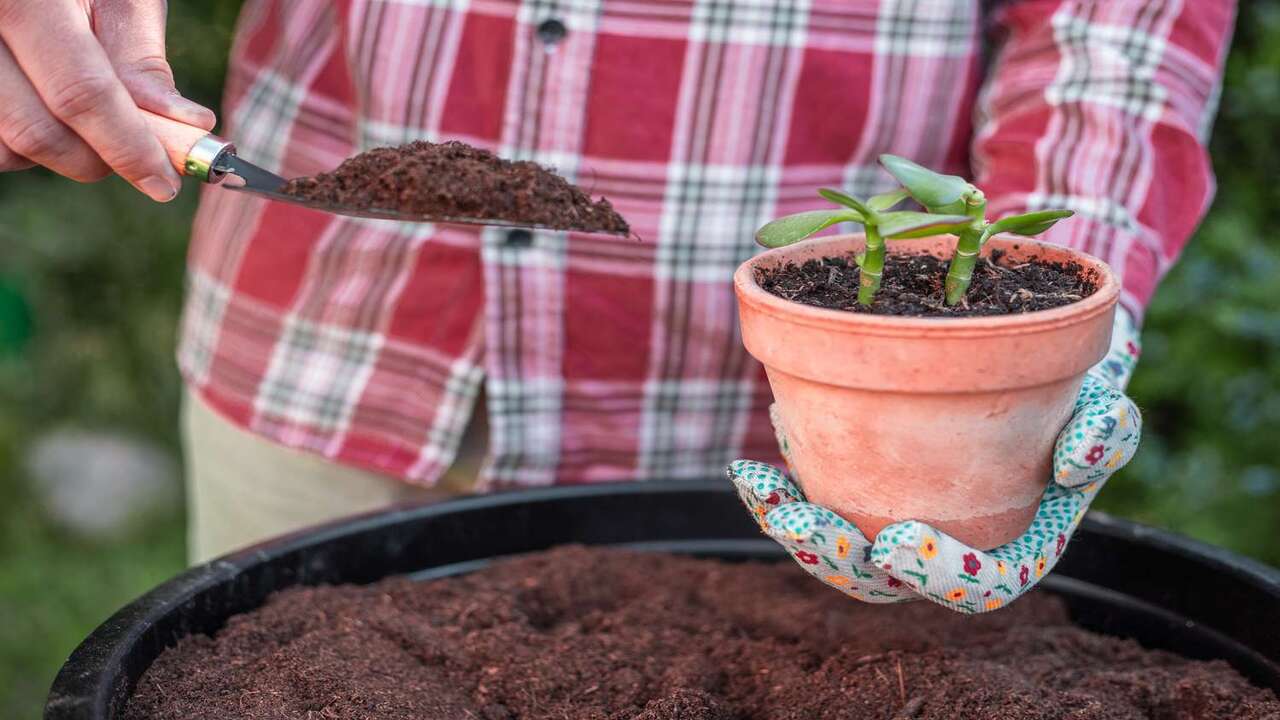 Composting To Improve Water Quality