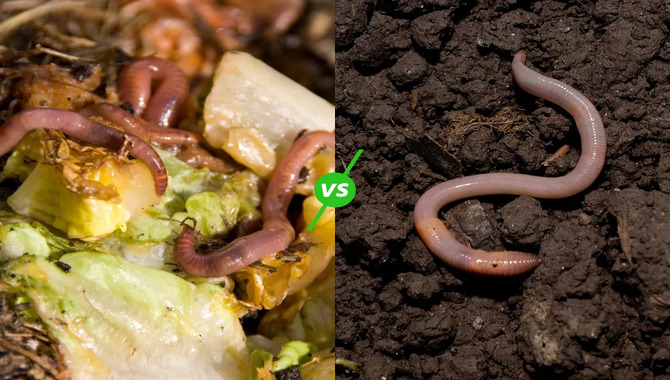 Composting With Earthworms In Urban Environments