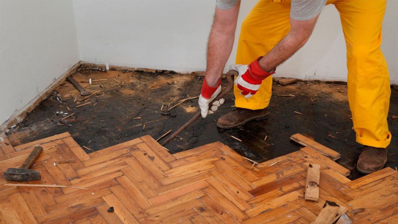 How To Remove Mold On Subfloor Mastering Mold
