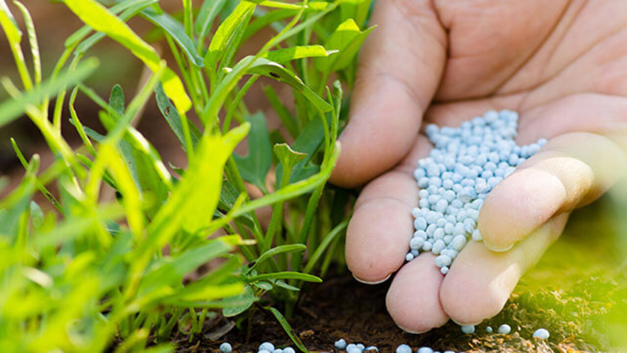 Fully Organic Fertilizer