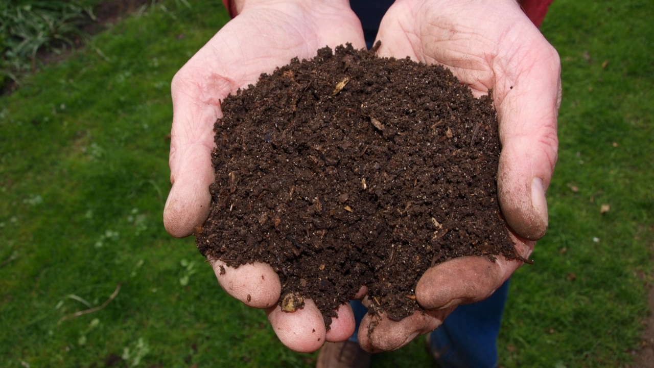 How Does Composting Contribute To Water Conservation