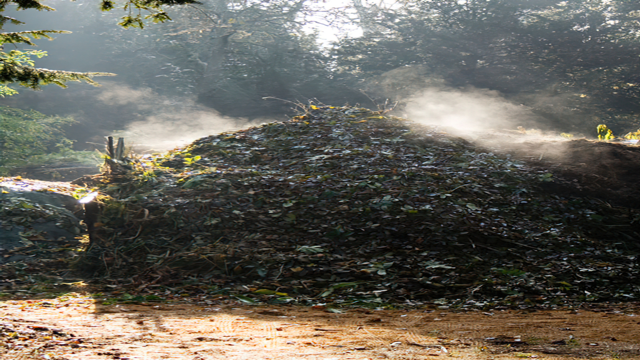 How To Achieve The Ideal Temperature For Thermophilic Composting