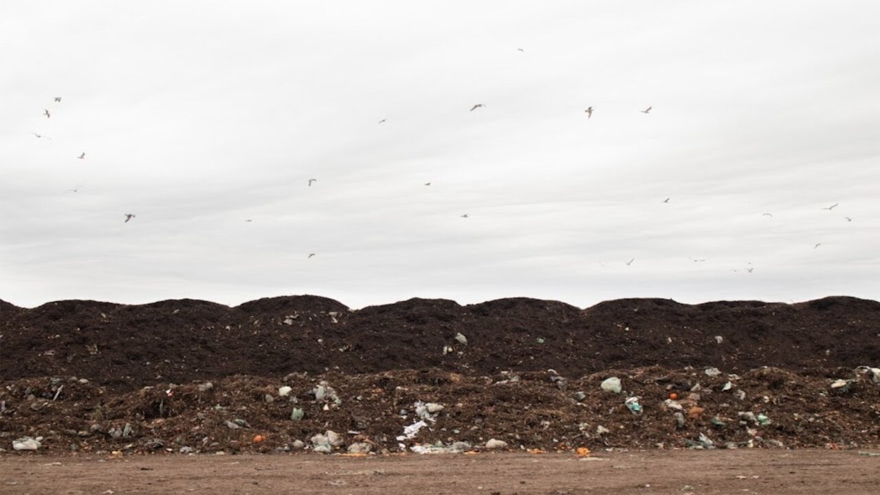 How To Make A Minneapolis Compost - Get Started