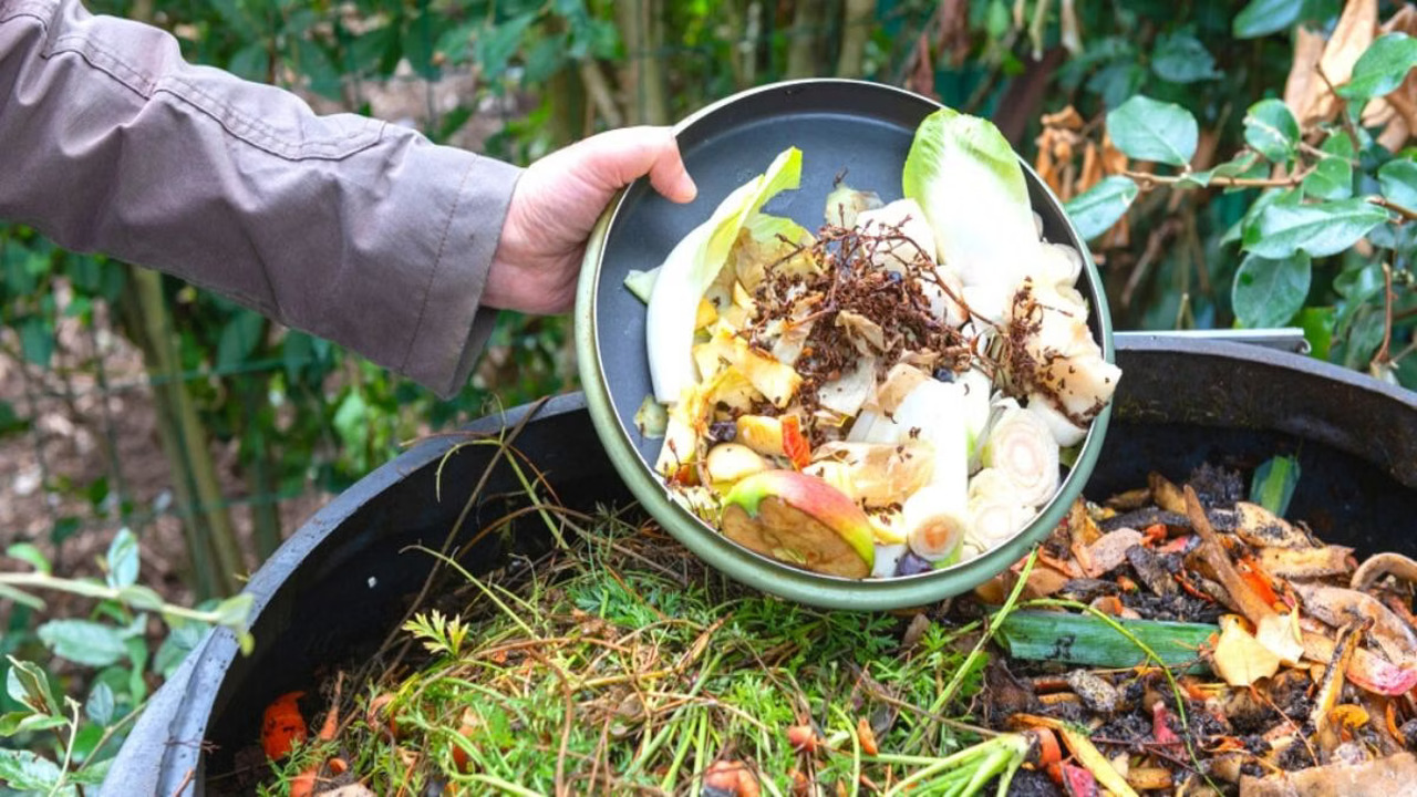 How To Make Compost Fertilizer At Home