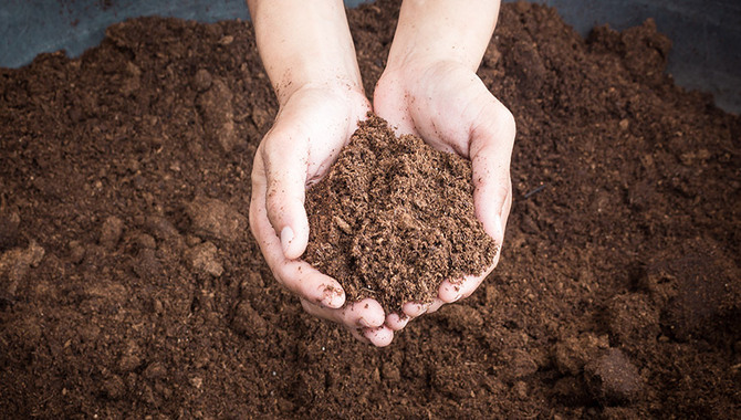How To Speed Up Composting - Comprehensive Guide