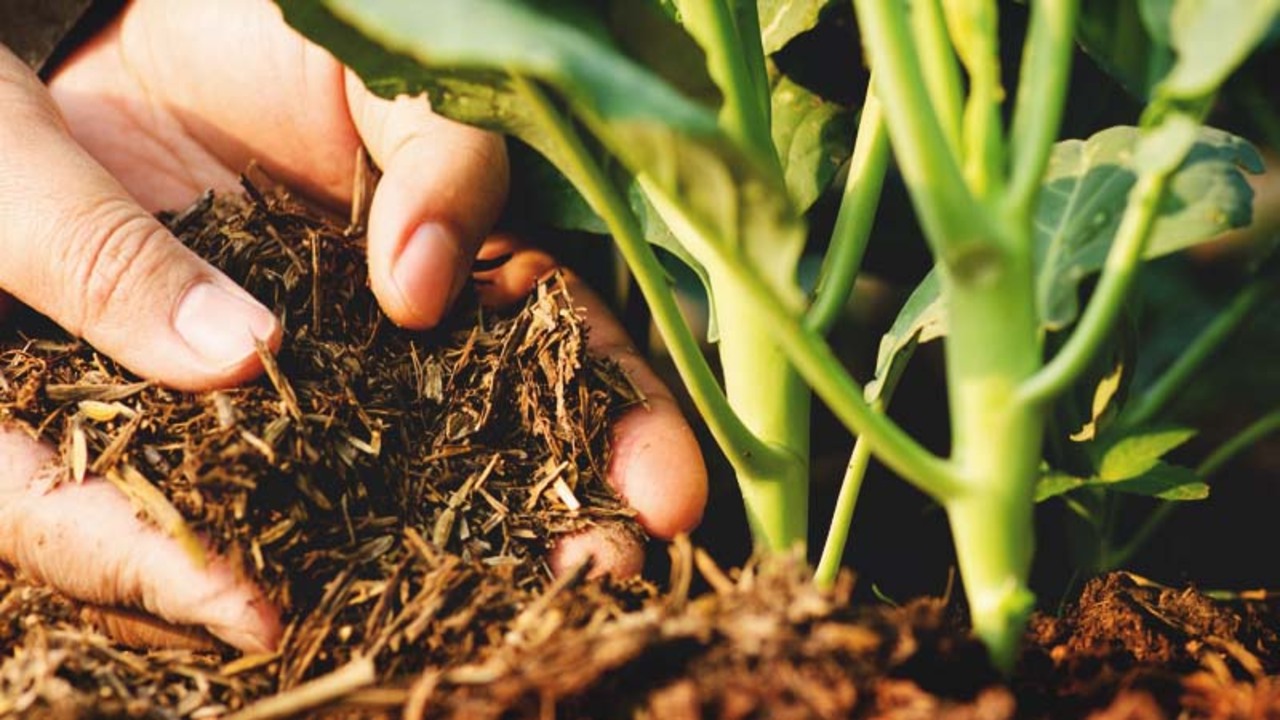 How To Uses Of Compost - The Power Of Composting