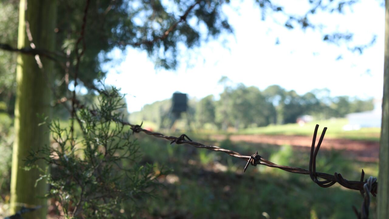 Mark Out The Boundary Of The Fence Using Stakes And Wire