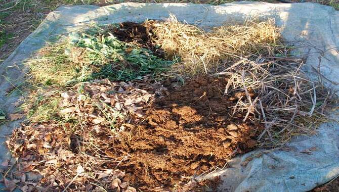 Materials To Compost