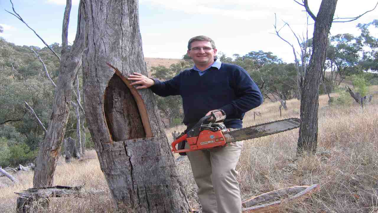 Measure And Mark The Property Boundary And Tree Trunk