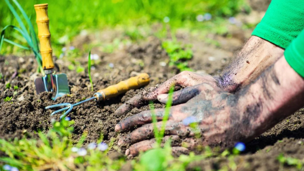 Prepare The Soil For Application