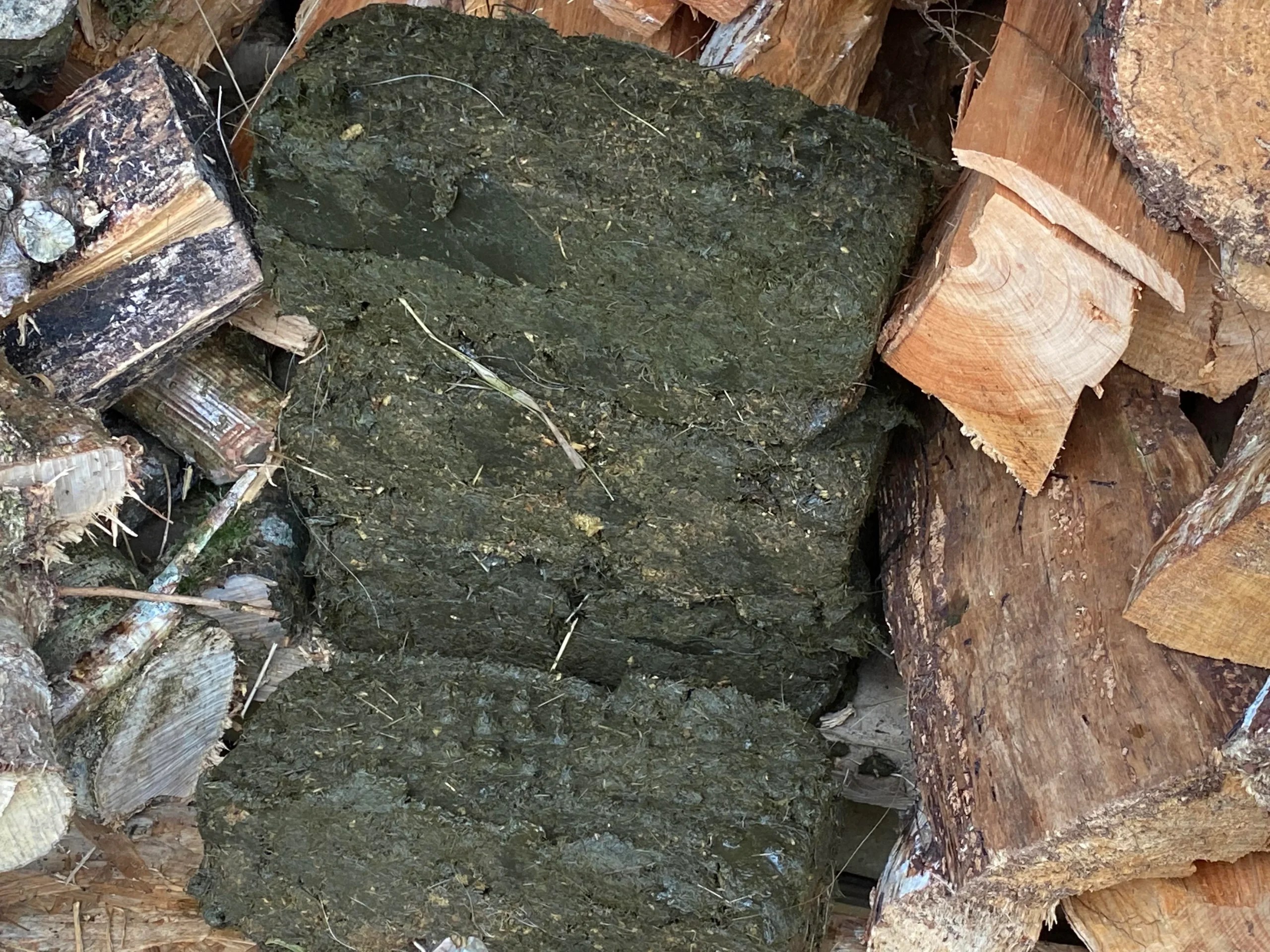 How To Make Horse Manure Fire Bricks In 5 Effective Steps