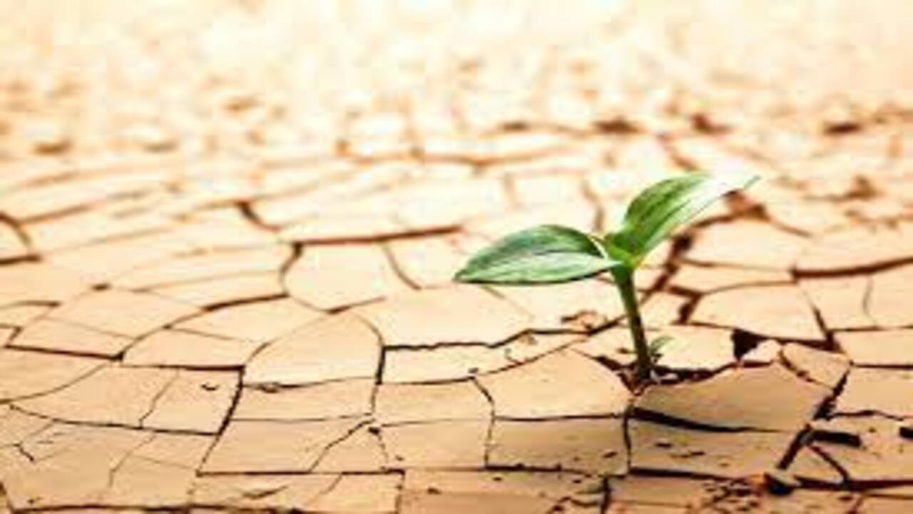 Soil Issues