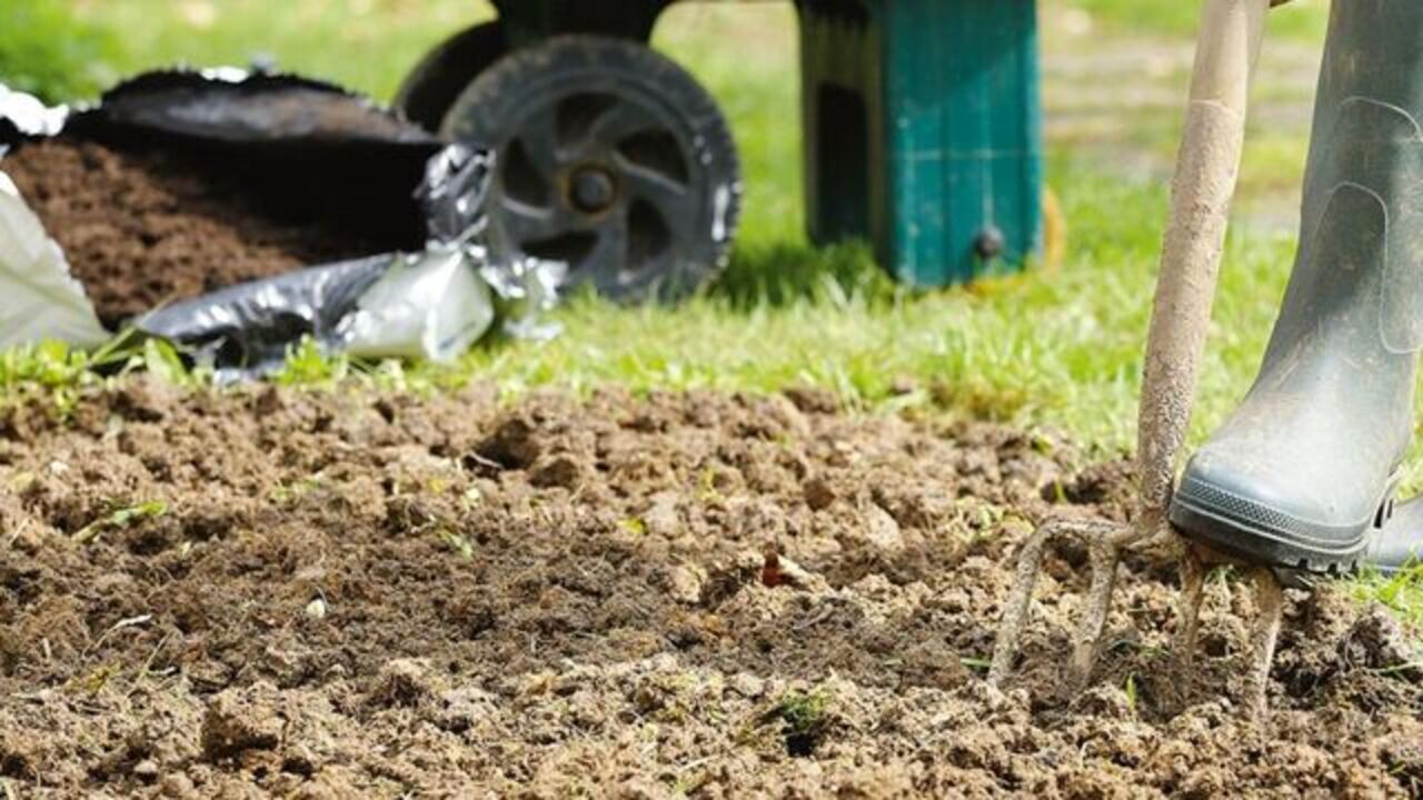 Soil Ph Testing And Adjustment
