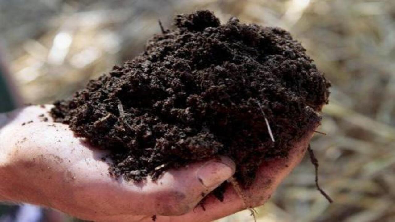 The Mystery Of Composting