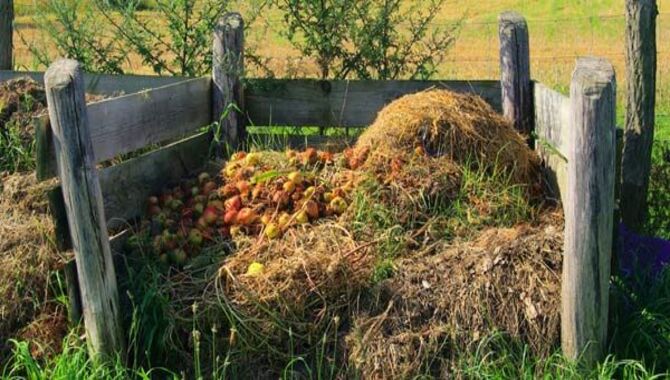 The Science Behind Composting