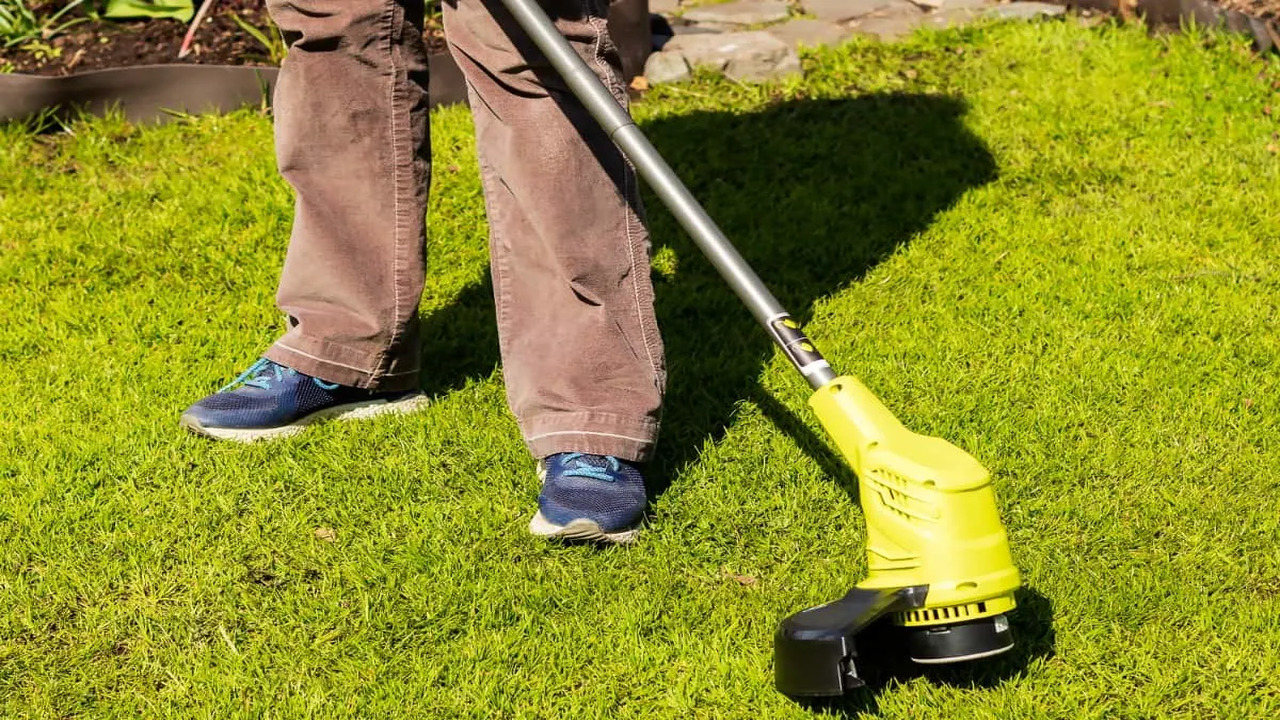 Things To Keep In Mind While Fixing The Dewalt Weed Eater Spin Problem