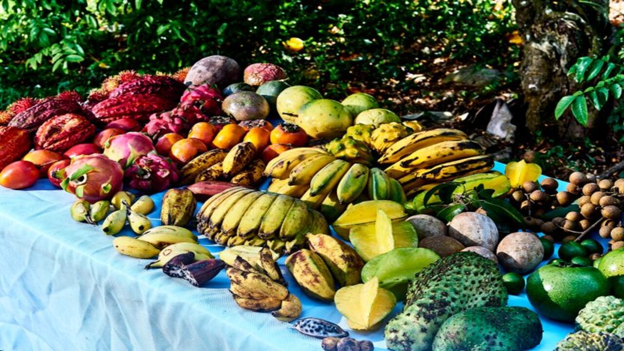 Things To Keep In Mind While Posting On Tropical Fruit Forums