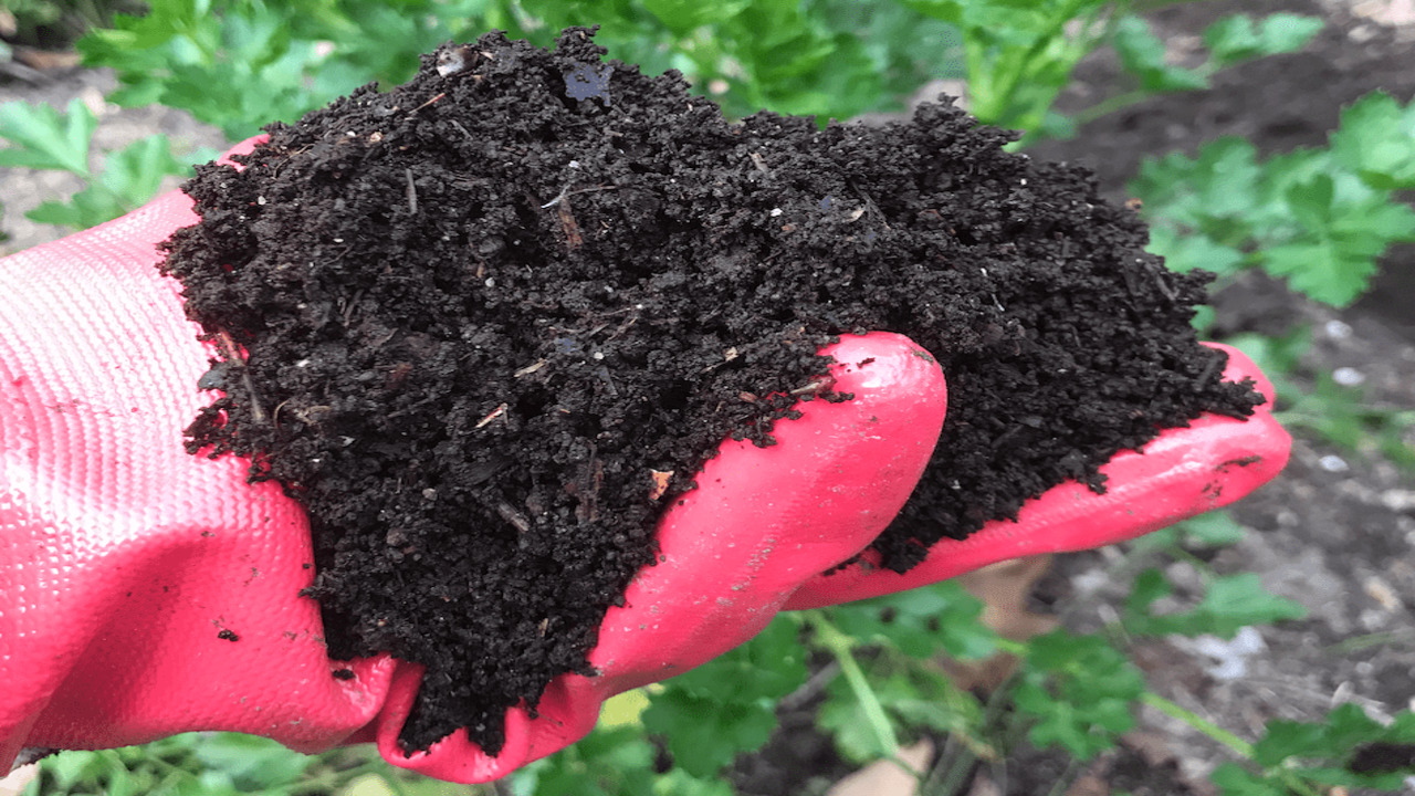 Tips And Tricks For A Successful Composting Poster