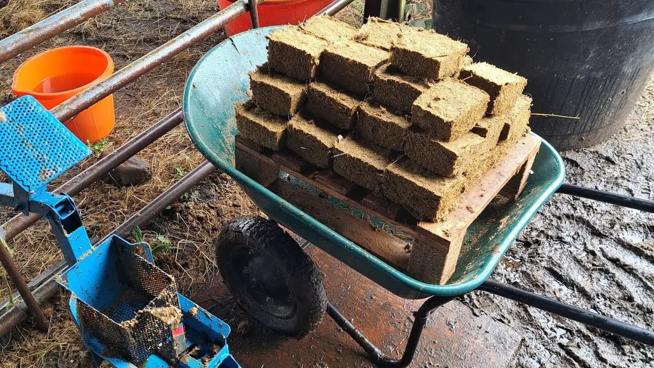 How To Make Horse Manure Fire Bricks: An Accessible Guide