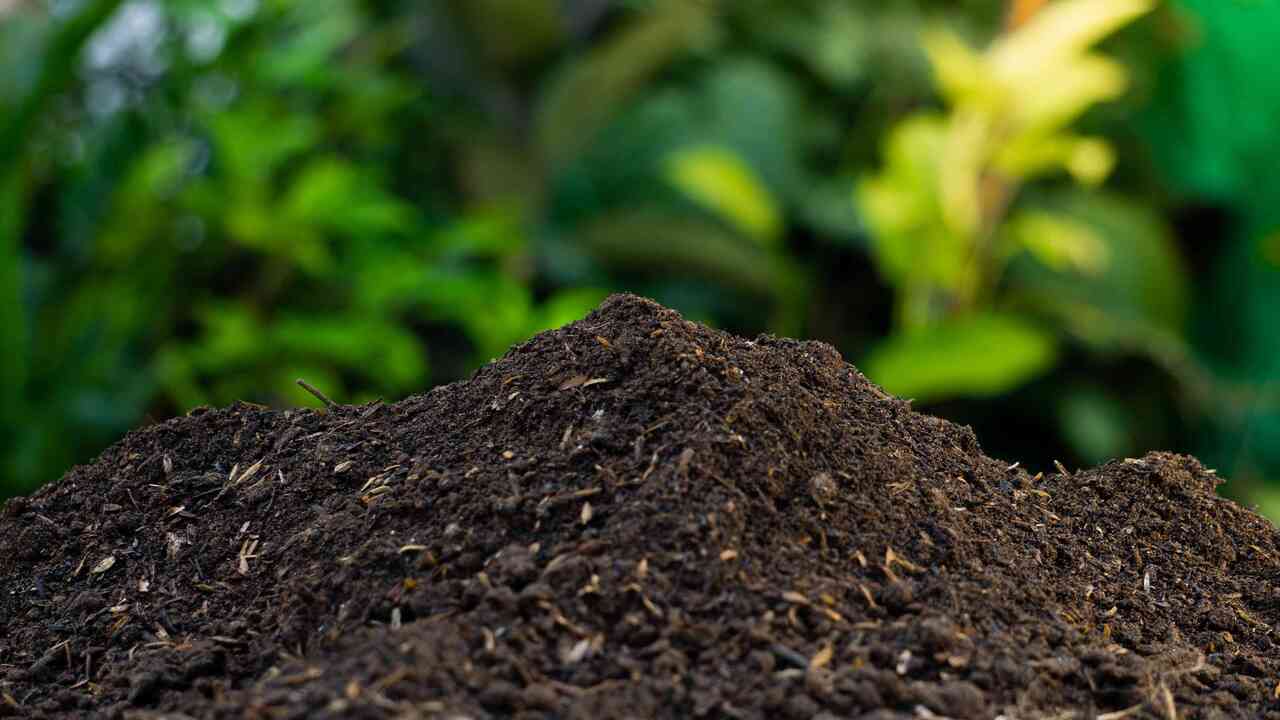 Use Your Compost
