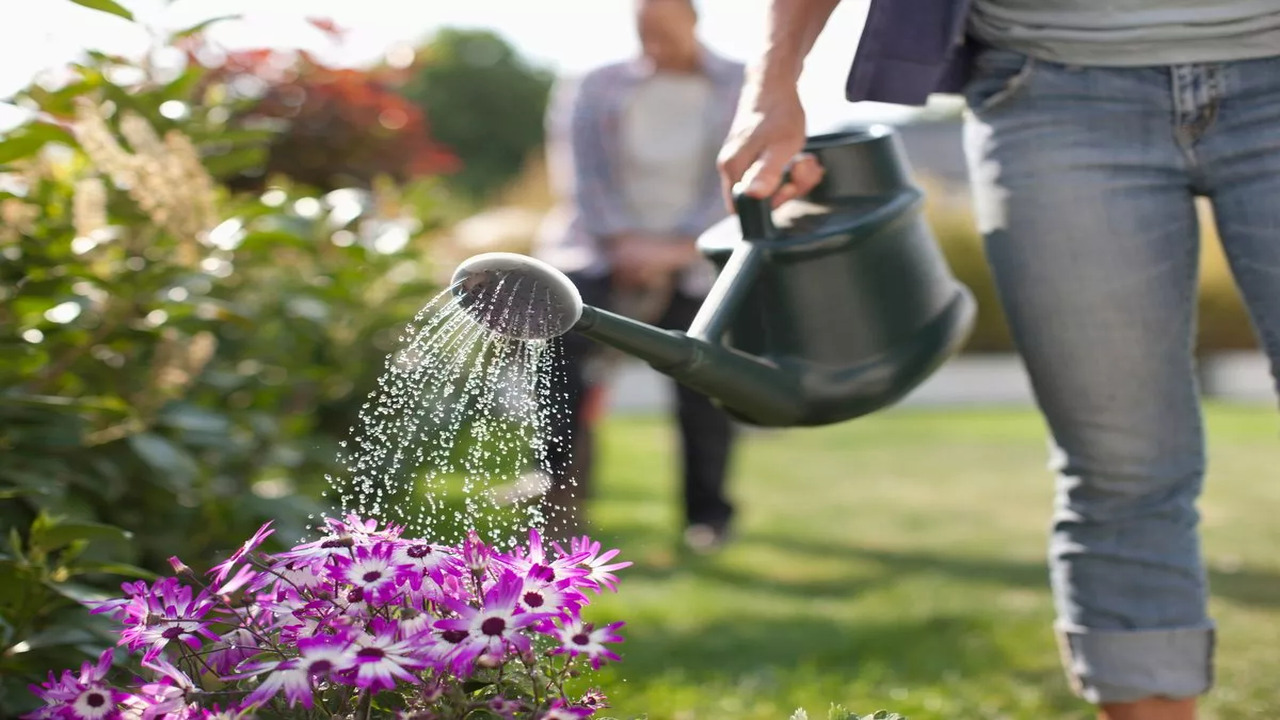 Watering Issues