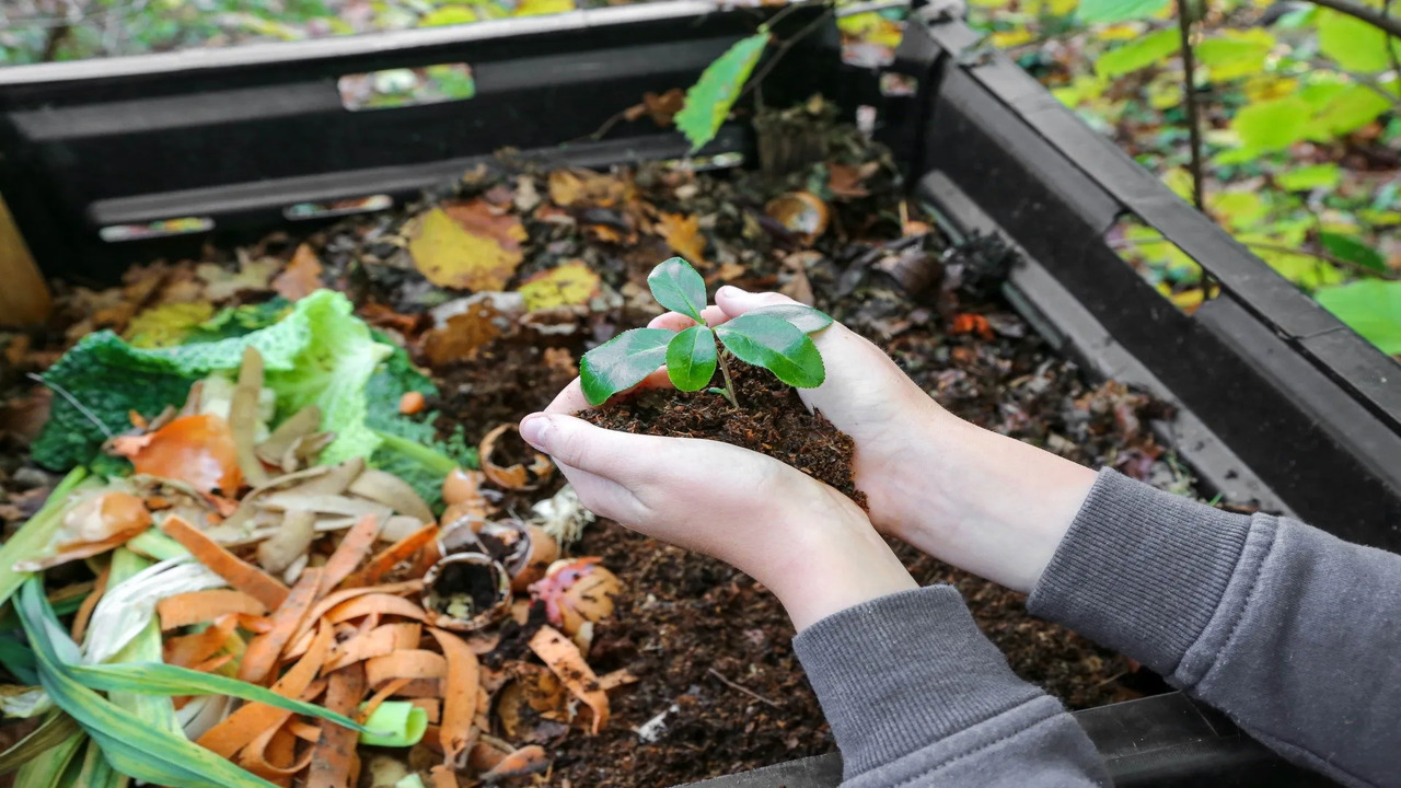 What Are The Advantages Of Composting