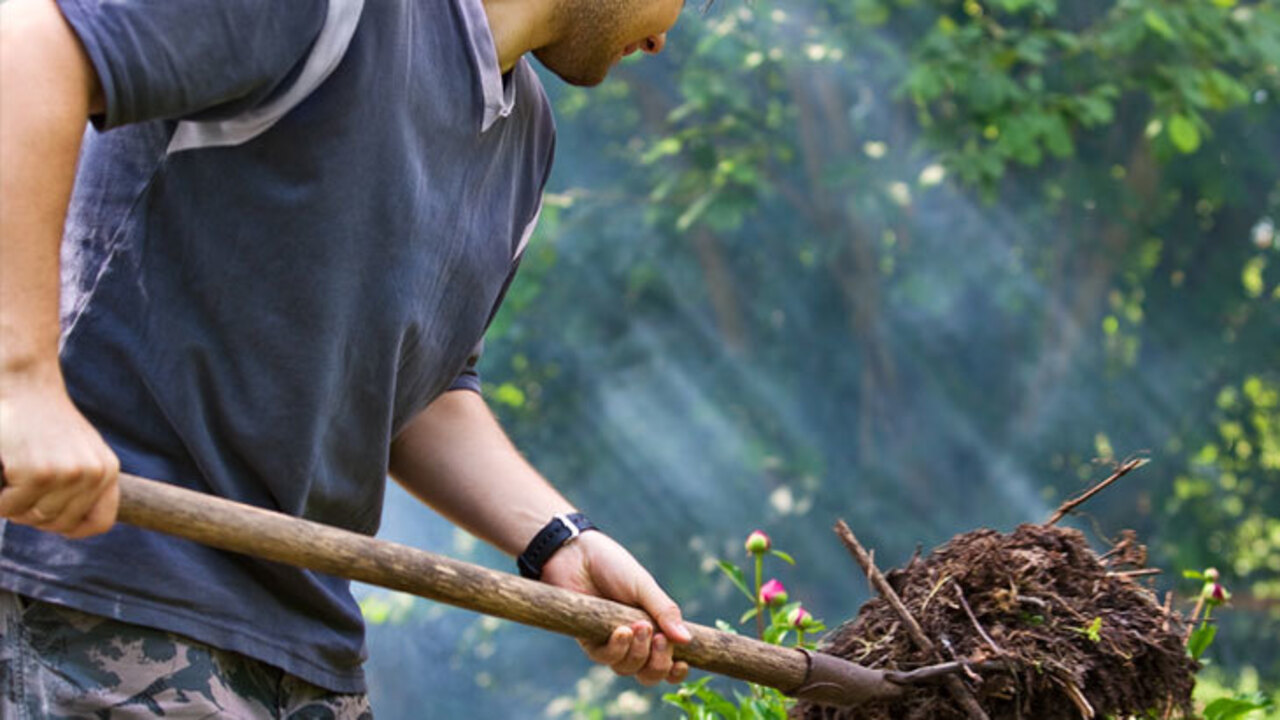 What Is Organic Compost The Revealed Answer