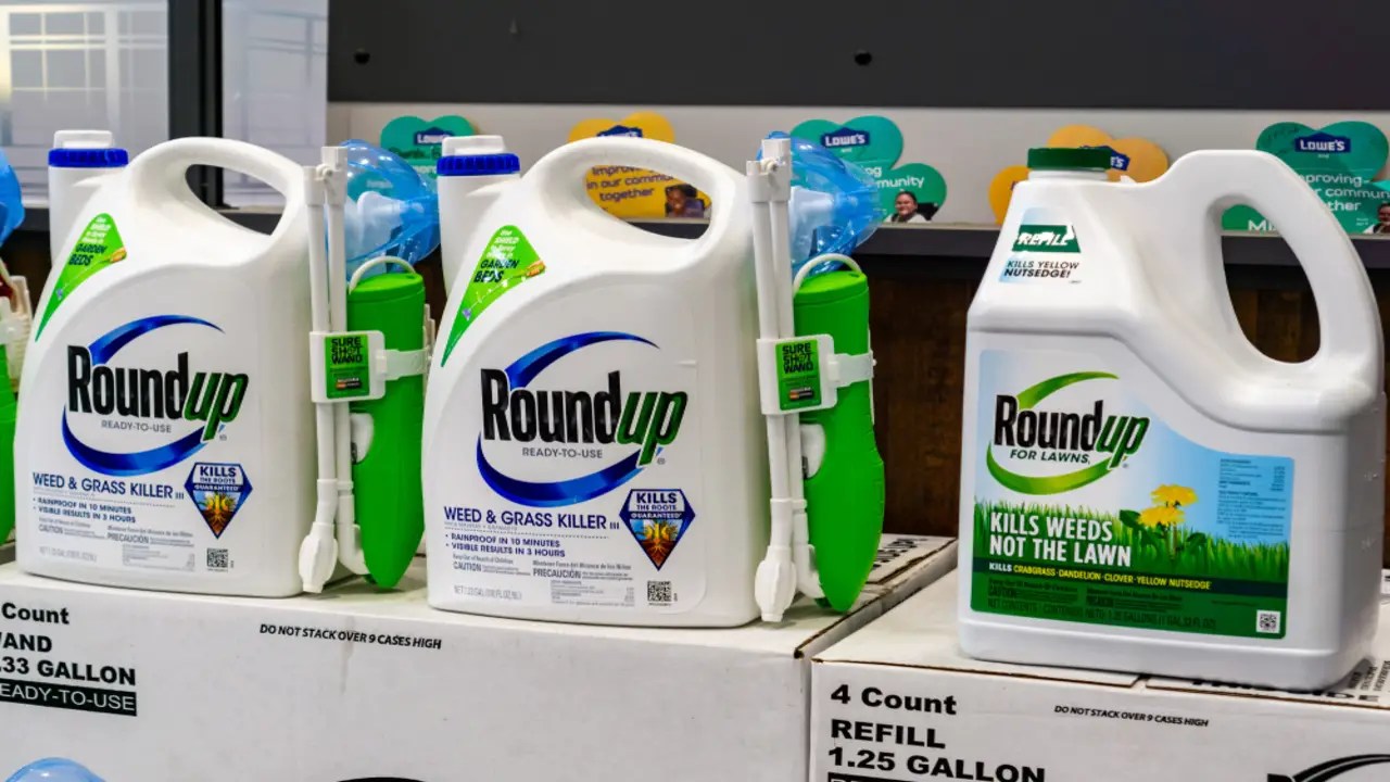 How To Add Color To Roundup 8 Quick And Easy Ways