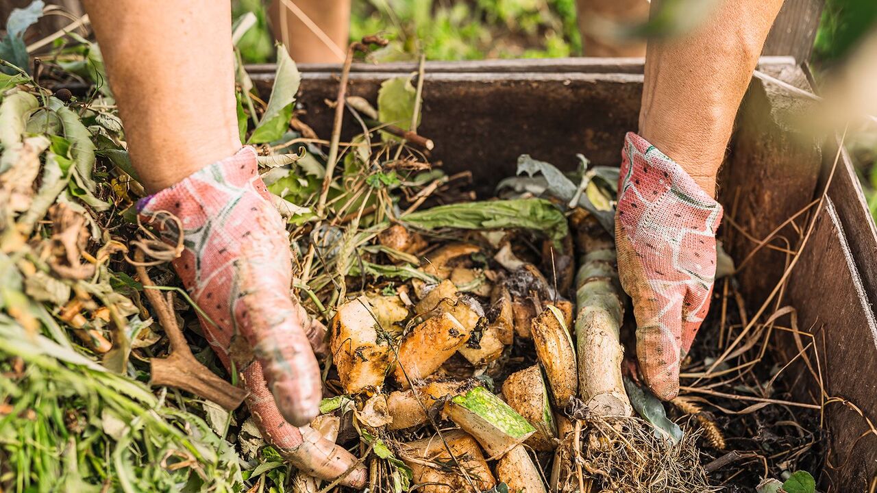 What Is The Purpose Of Composting In Environmental Conservation